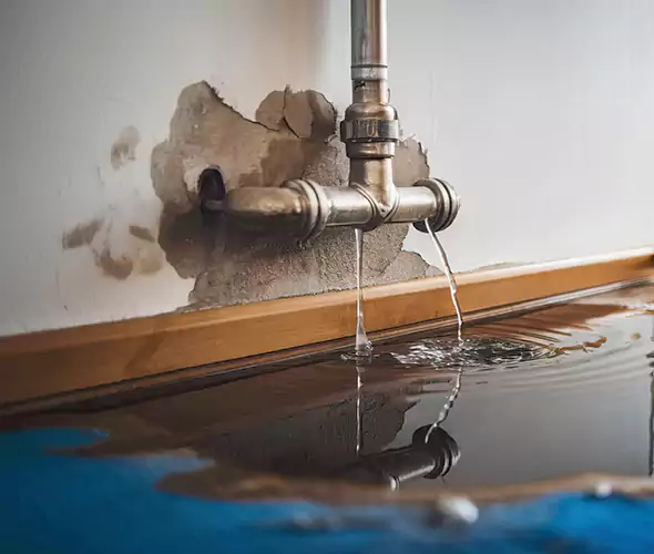 Professional Water Damage Restoration Experts in New Rochelle, NY — Fast, Reliable & Certified