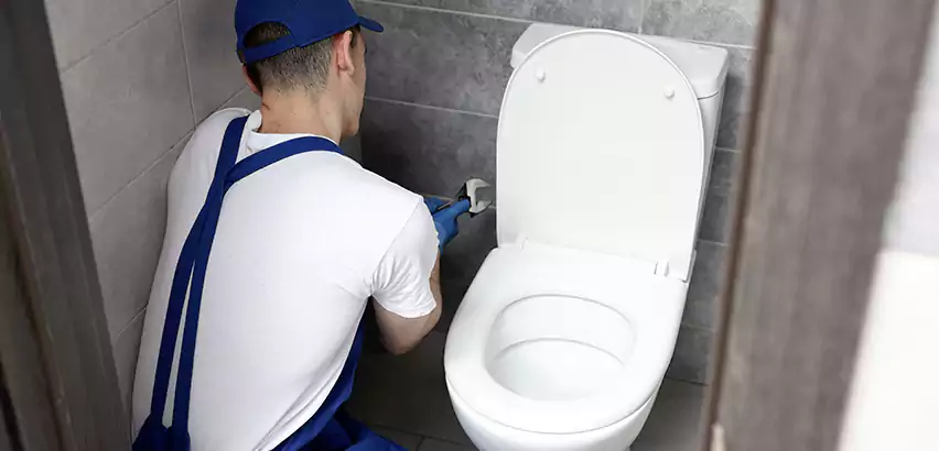 Toilet Lid Replacement in New Rochelle